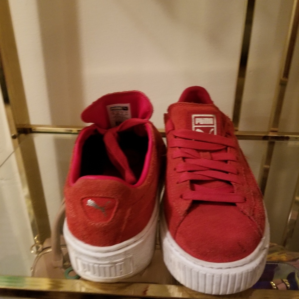 Platform pumas